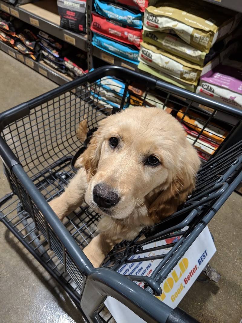 Paws Stop Pet Food & Supplies
