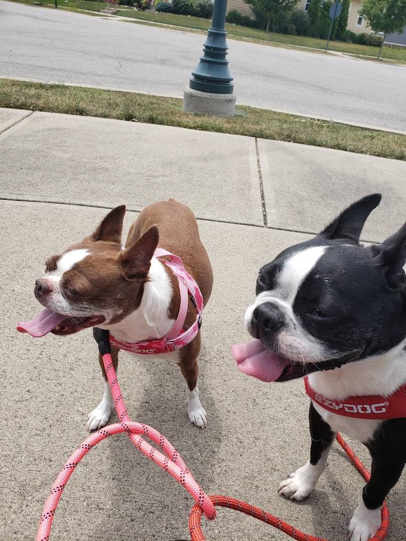 Paws Stop Pet Food & Supplies
